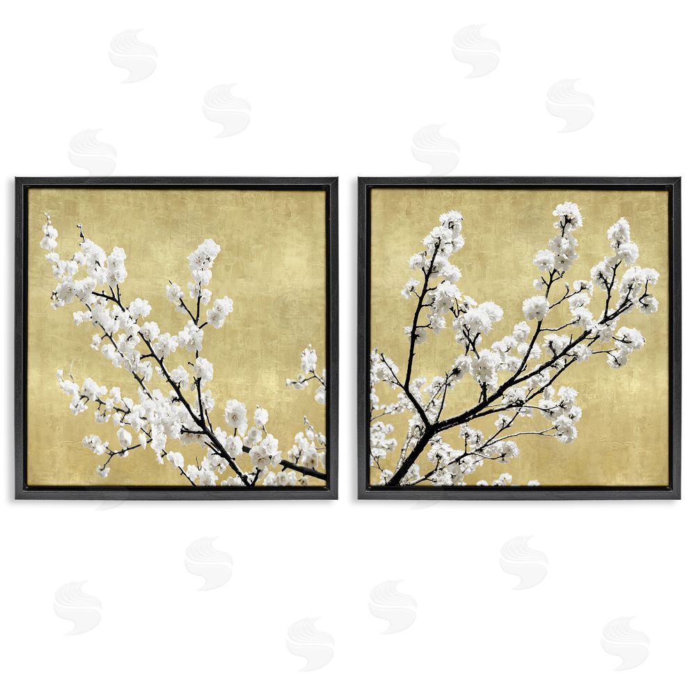 Kate Bennett White Cherry Blossom Branches over Neutral Black Floating Frame Canvas Wall Art Print