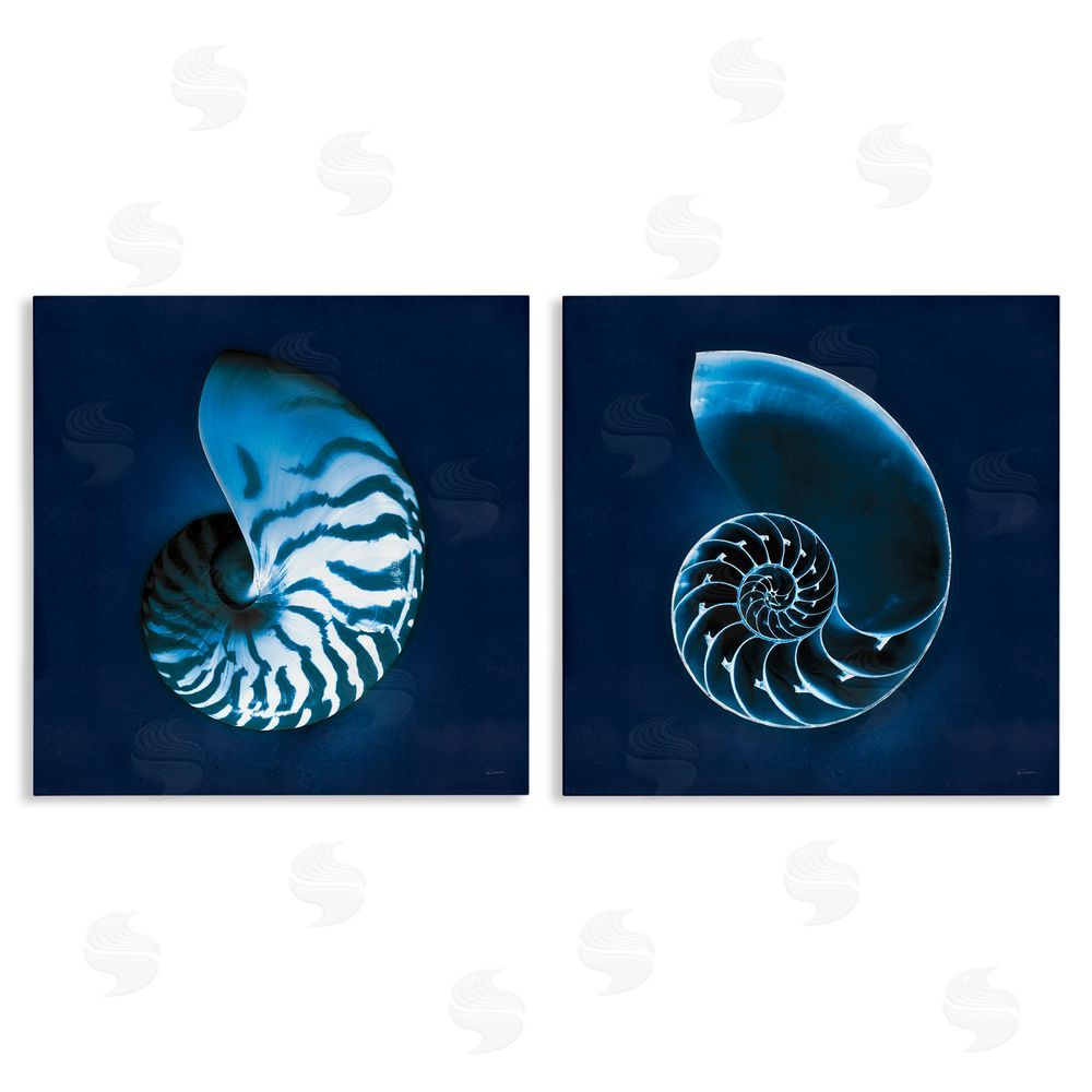 Sue Schlabach Blue Spiral Nautilus Shell with Pattern Canvas Wall Art Print
