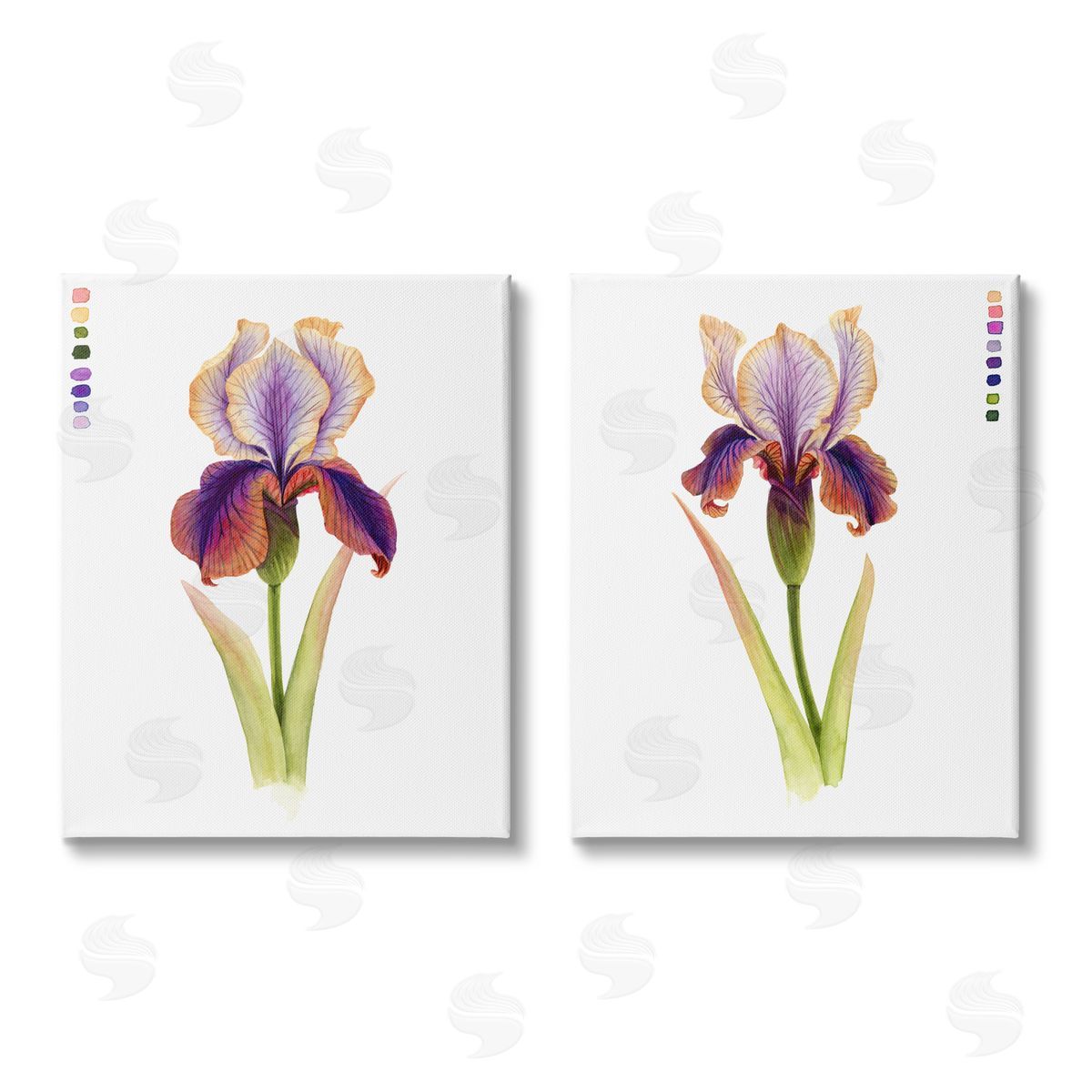 Grace Popp Orange Purple Iris with Color Key Canvas Wall Art Print