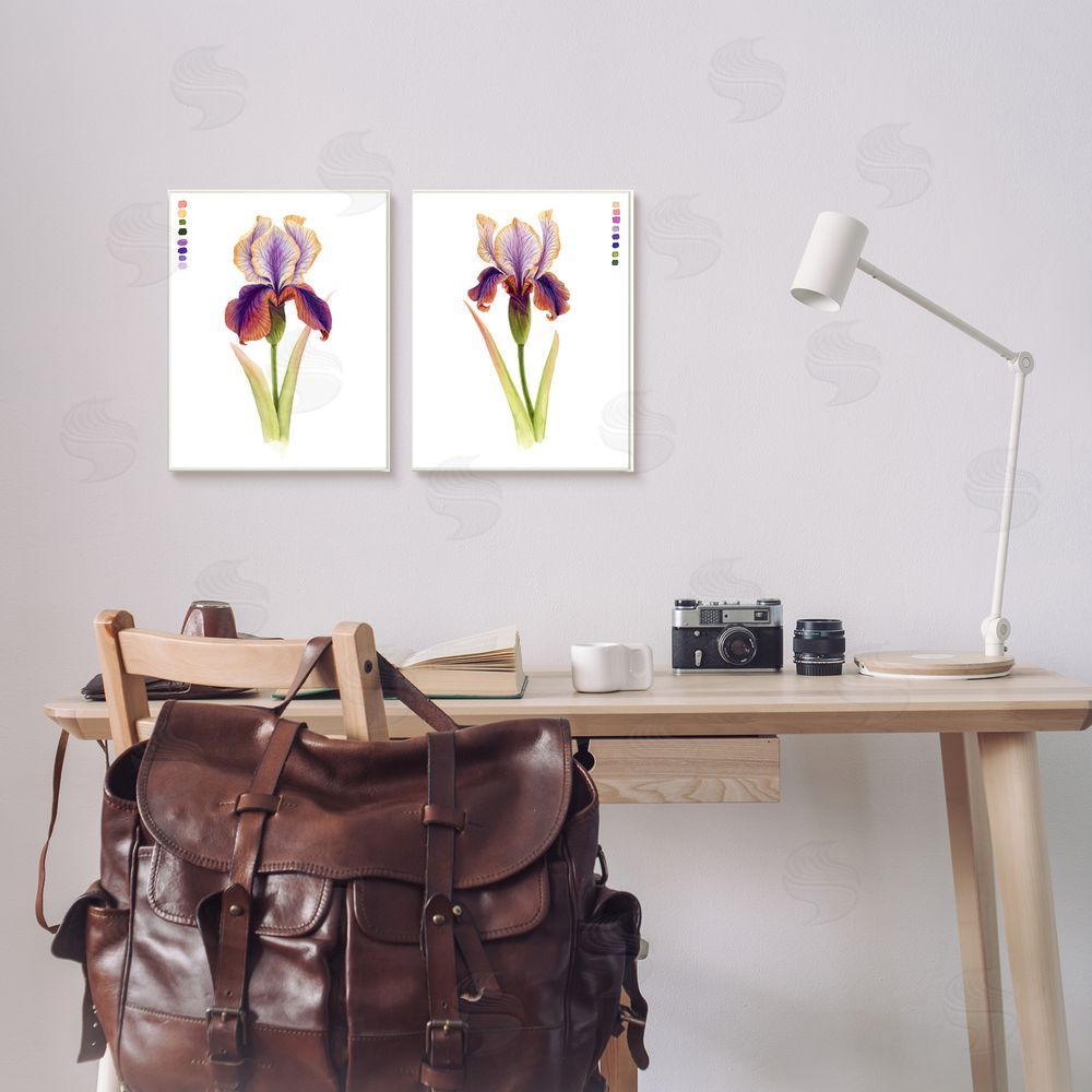Grace Popp Orange Purple Iris with Color Key Canvas Wall Art Print in Room