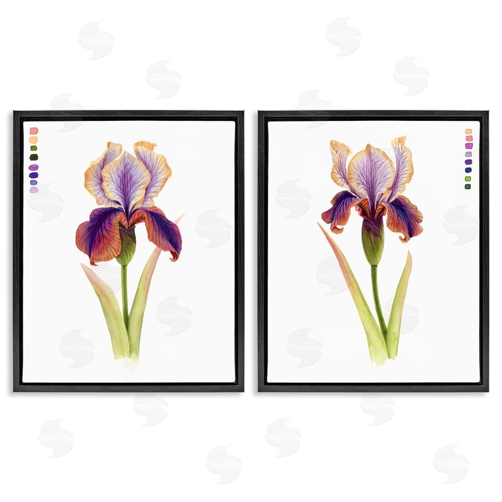 Grace Popp Orange Purple Iris with Color Key Black Floating Frame Canvas Wall Art Print