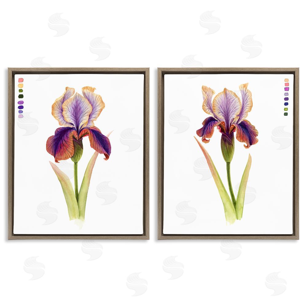 Grace Popp Orange Purple Iris with Color Key Brown Floating Frame Canvas Wall Art Print