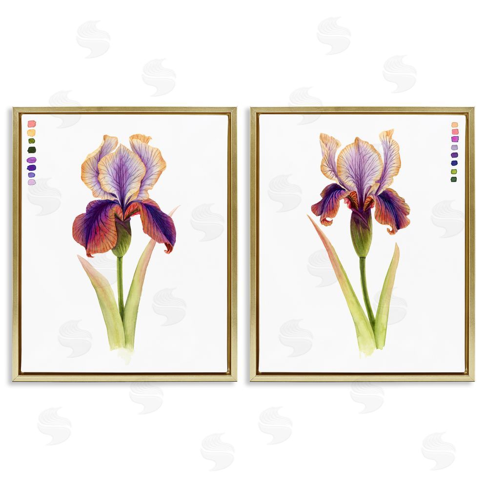 Grace Popp Orange Purple Iris with Color Key Gold Floating Frame Canvas Wall Art Print