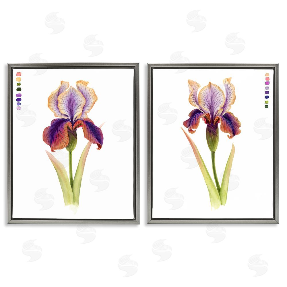 Grace Popp Orange Purple Iris with Color Key Gray Floating Frame Canvas Wall Art Print