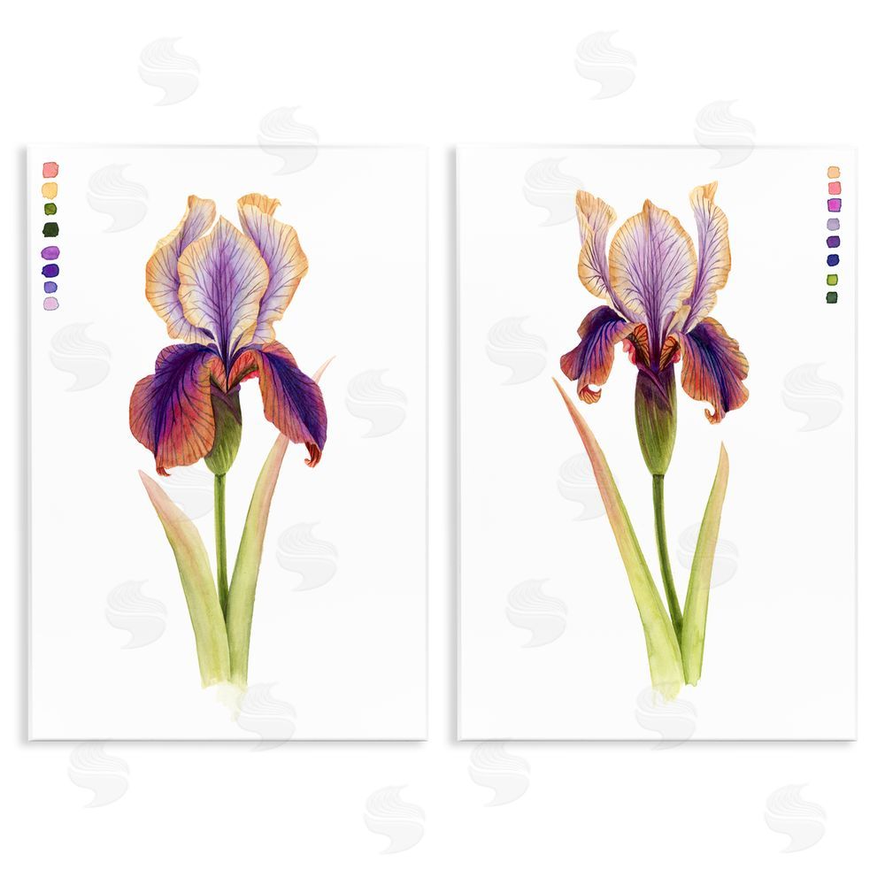 Grace Popp Orange Purple Iris with Color Key Wooden Wall Plaque Art Print