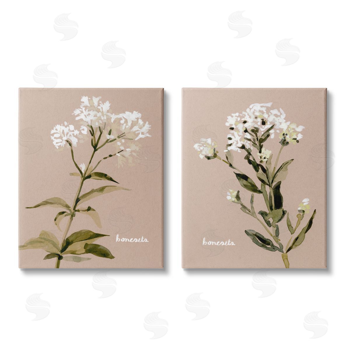 Emma Caroline White Boneset Flowers Soft Palette Canvas Wall Art Print