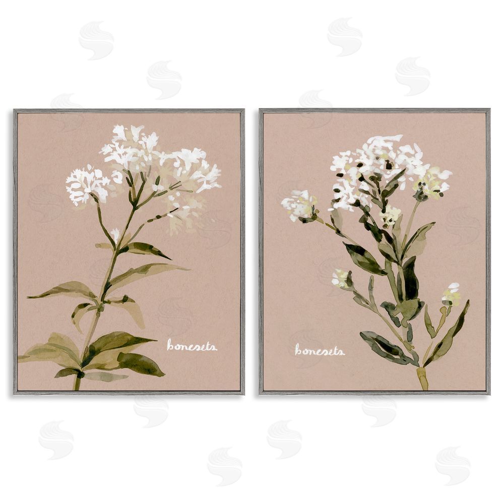 Emma Caroline White Boneset Flowers Soft Palette Gray Framed Giclee Wall Art Print