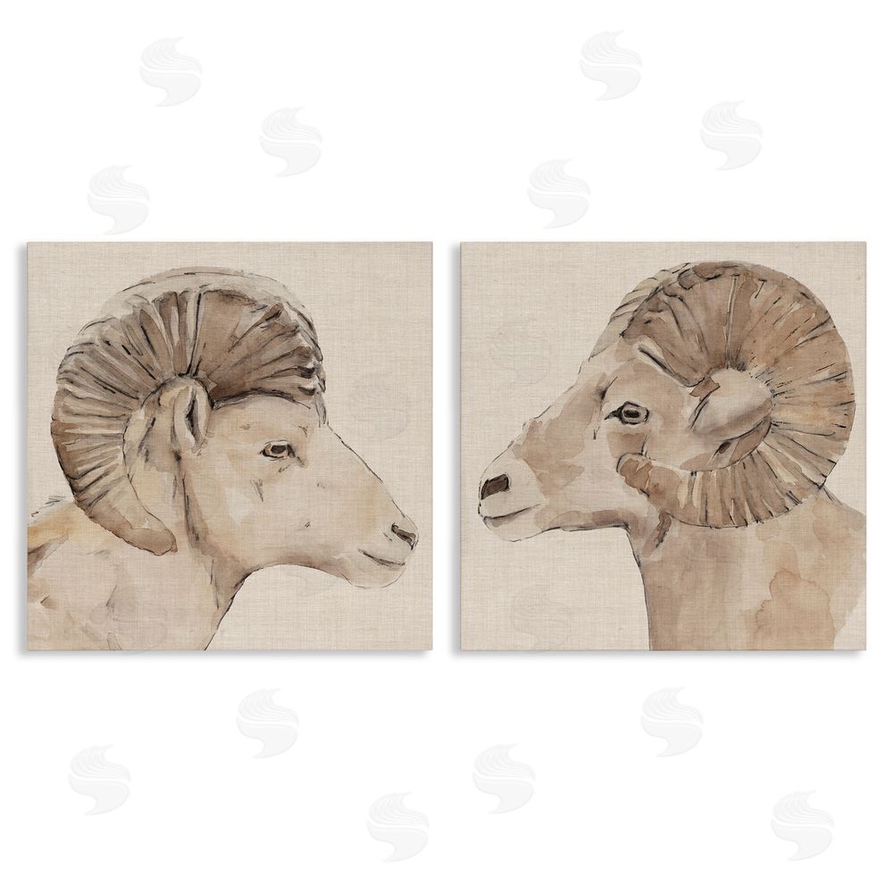 Annie Warren Asymmetrical Big Horn Portraits Canvas Wall Art Print