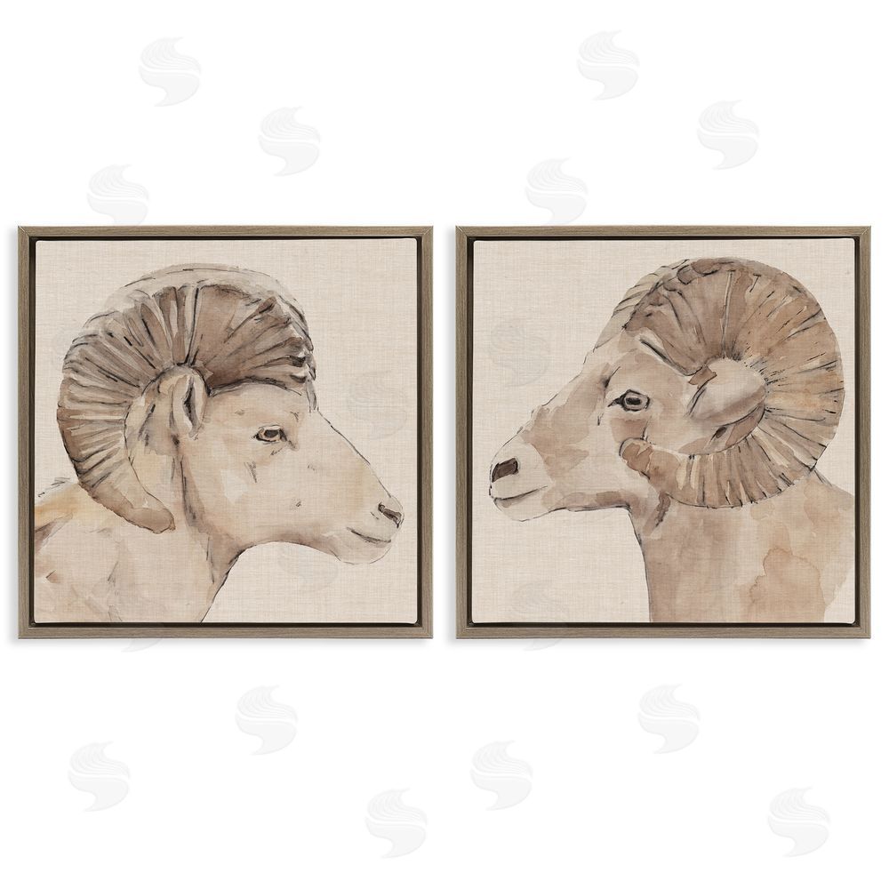 Annie Warren Asymmetrical Big Horn Portraits Brown Floating Frame Canvas Wall Art Print