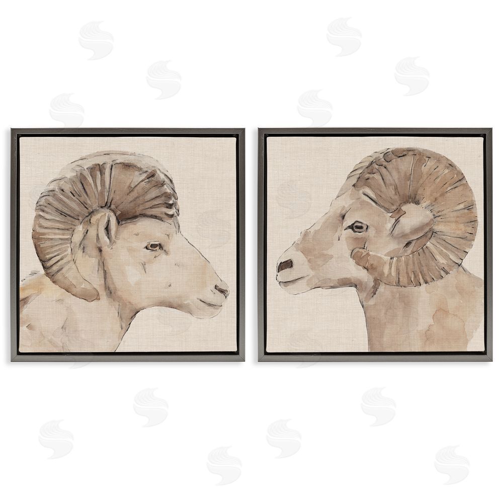 Annie Warren Asymmetrical Big Horn Portraits Gray Floating Frame Canvas Wall Art Print