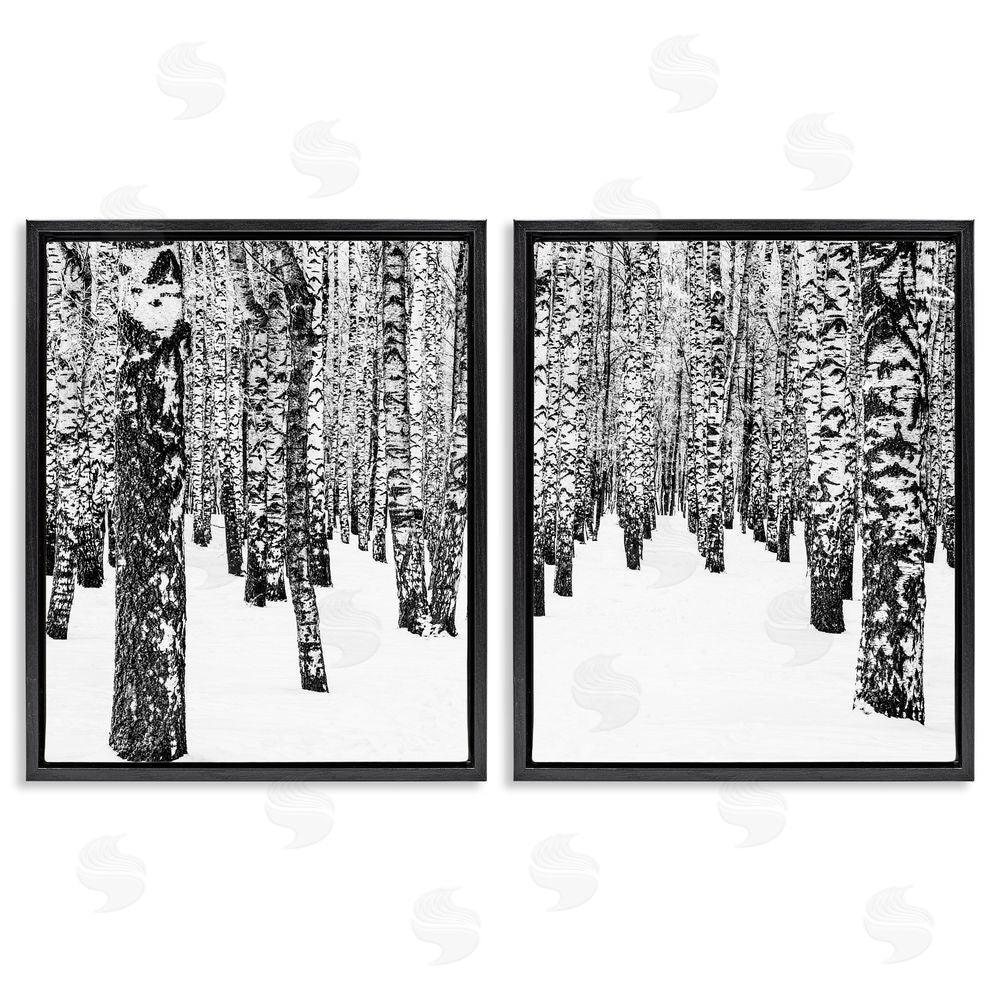 Design Fabrikken Rustic Winter Forest Scene Birch Trees Black Floating Frame Canvas Wall Art Print