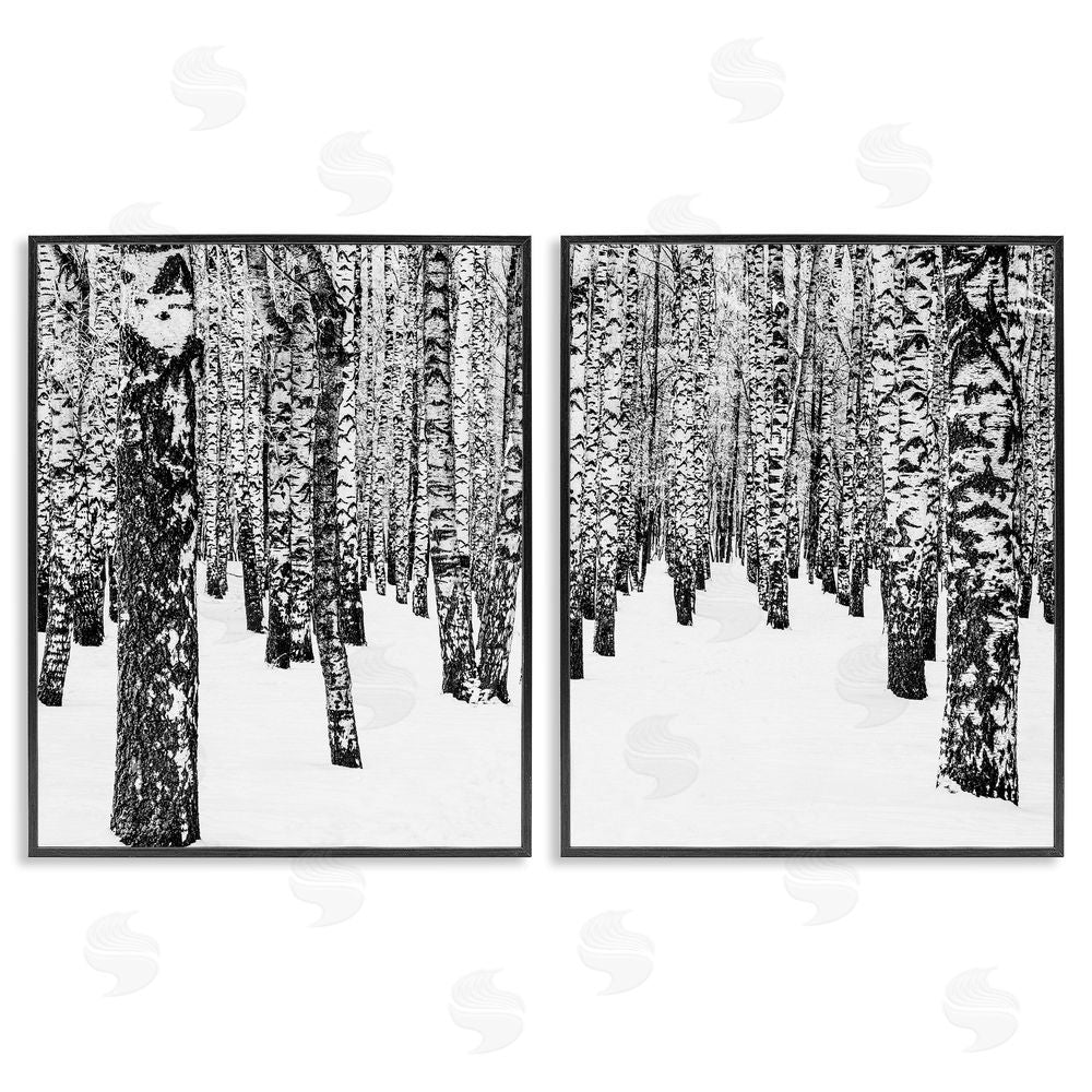 Design Fabrikken Rustic Winter Forest Scene Birch Trees Black Framed Giclee Wall Art Print