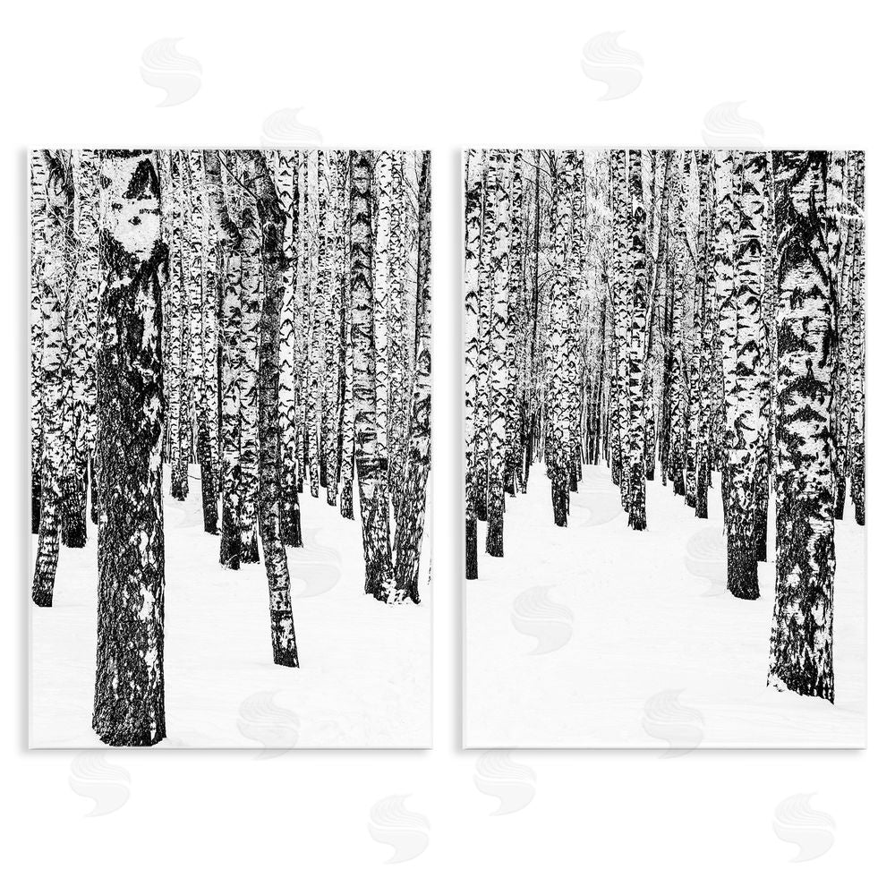 Design Fabrikken Rustic Winter Forest Scene Birch Trees Wooden Wall Plaque Art Print
