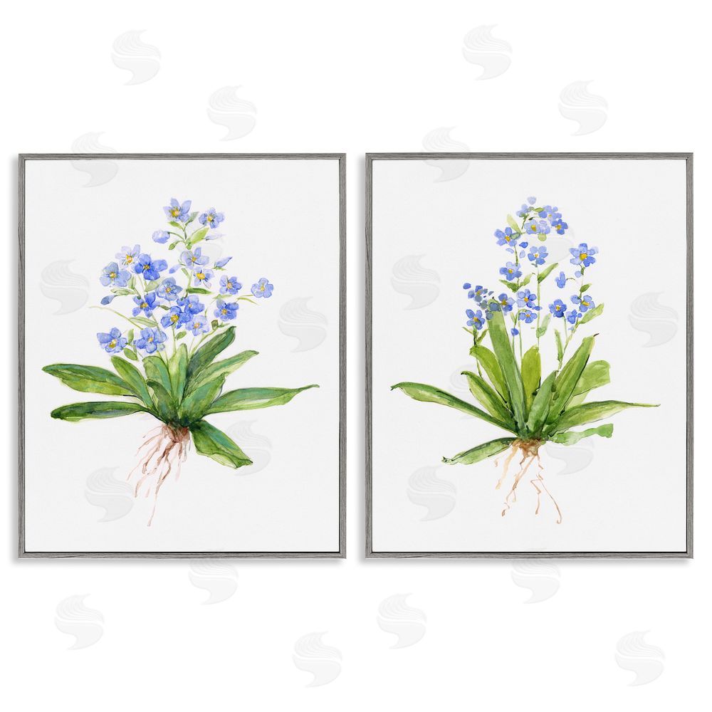 Sally Swatland Bluebird Garden Floral Bunches Gray Framed Giclee Wall Art Print