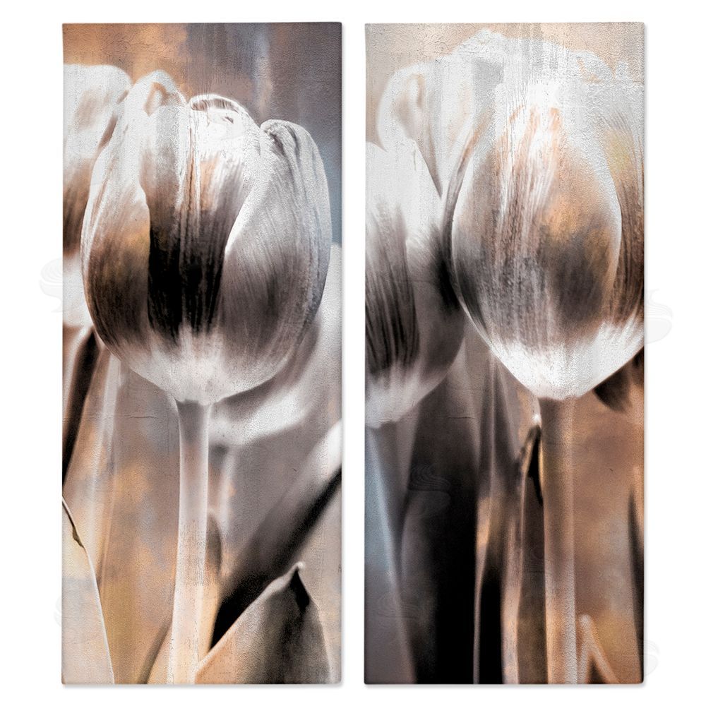 Kim Allen Modern Abstract Tulip Floral Photography Canvas Wall Art Print
