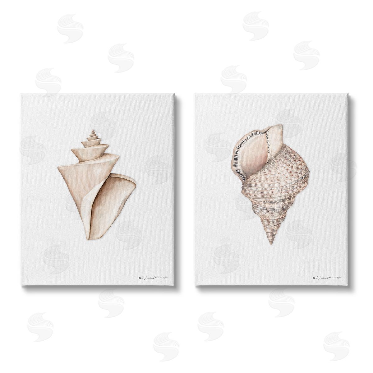 Stephanie Workman Marrott Tranquil Spiral Sea Shells Soft Marine Life Canvas Wall Art Print