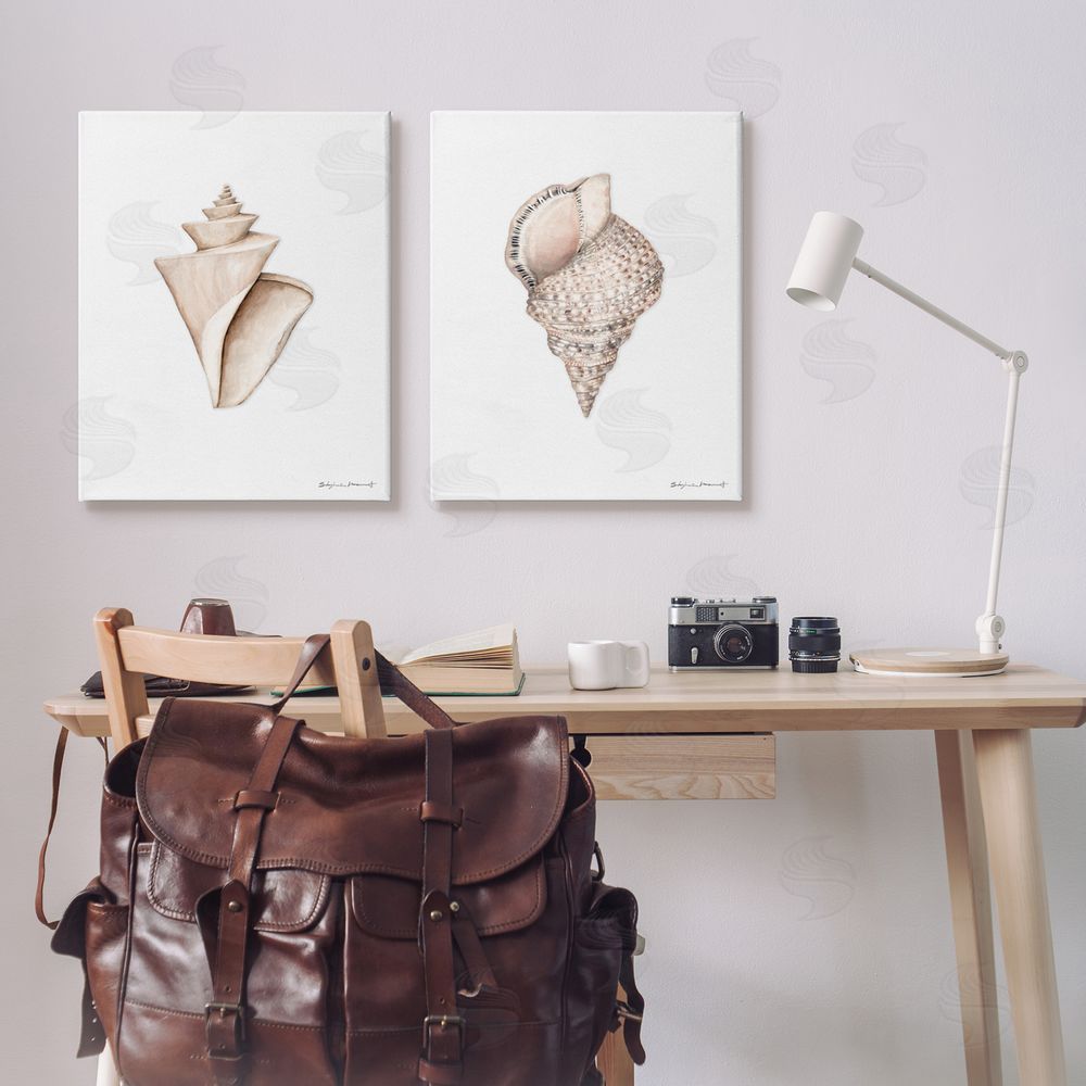 Stephanie Workman Marrott Tranquil Spiral Sea Shells Soft Marine Life Canvas Wall Art Print in Room