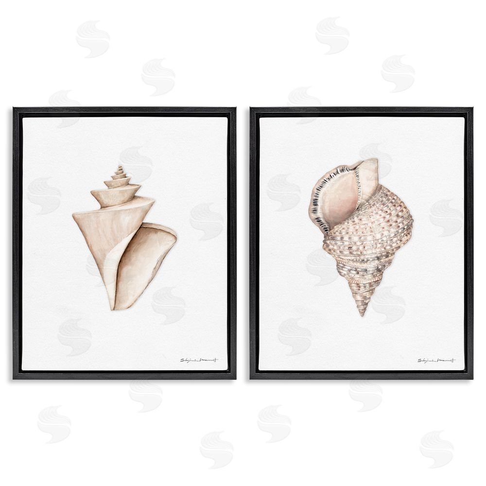 Stephanie Workman Marrott Tranquil Spiral Sea Shells Soft Marine Life Black Floating Frame Canvas Wall Art Print