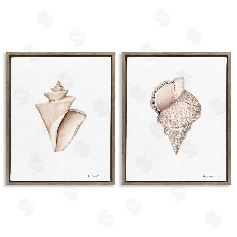 Stephanie Workman Marrott Tranquil Spiral Sea Shells Soft Marine Life Brown Floating Frame Canvas Wall Art Print