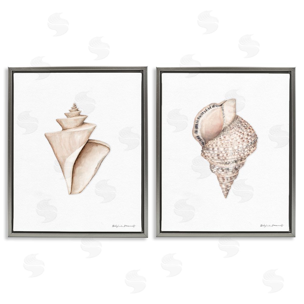 Stephanie Workman Marrott Tranquil Spiral Sea Shells Soft Marine Life Gray Floating Frame Canvas Wall Art Print
