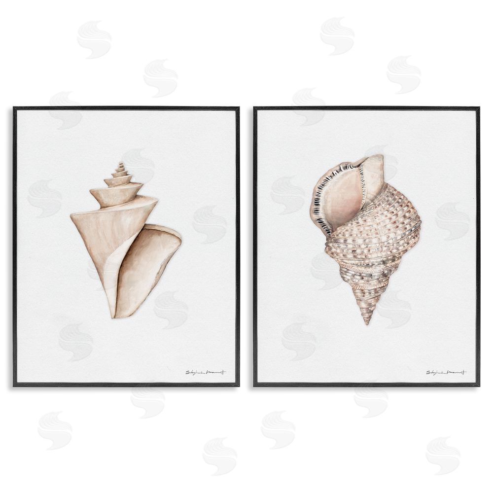 Stephanie Workman Marrott Tranquil Spiral Sea Shells Soft Marine Life Black Framed Giclee Wall Art Print