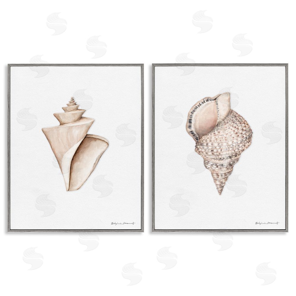 Stephanie Workman Marrott Tranquil Spiral Sea Shells Soft Marine Life Gray Framed Giclee Wall Art Print