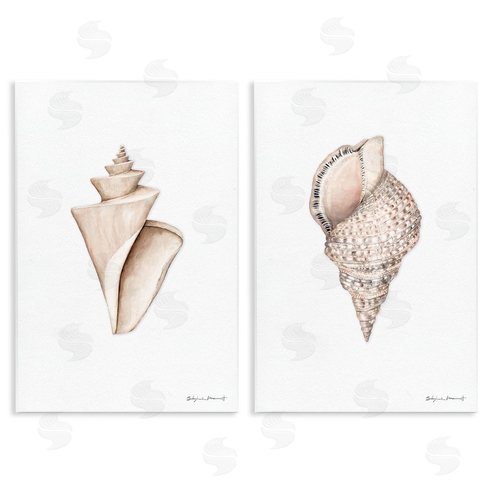 Stephanie Workman Marrott Tranquil Spiral Sea Shells Soft Marine Life Wooden Wall Plaque Art Print