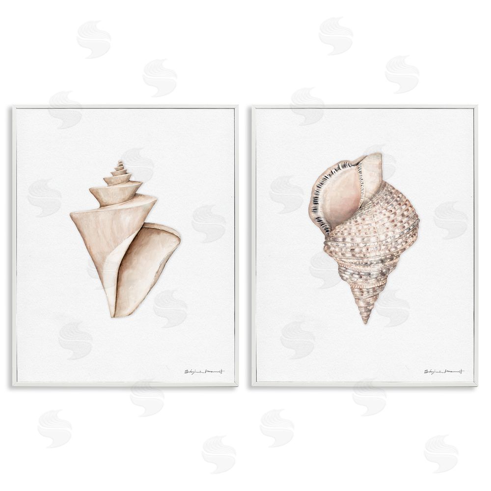 Stephanie Workman Marrott Tranquil Spiral Sea Shells Soft Marine Life White Framed Giclee Wall Art Print