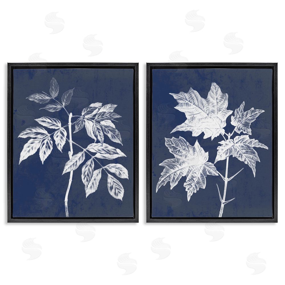 Stupell Studio Maple Leaf Elm Stem Vintage Illustration Black Floating Frame Canvas Wall Art Print