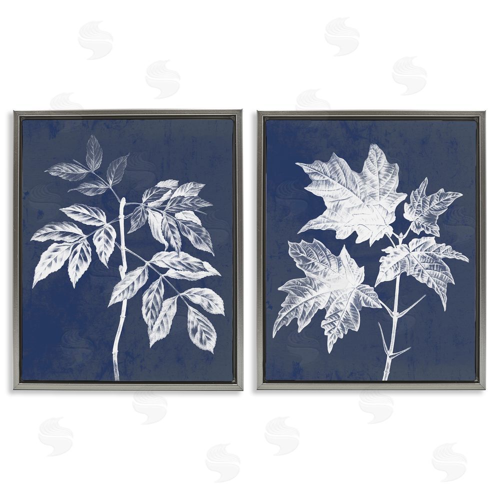 Stupell Studio Maple Leaf Elm Stem Vintage Illustration Gray Floating Frame Canvas Wall Art Print