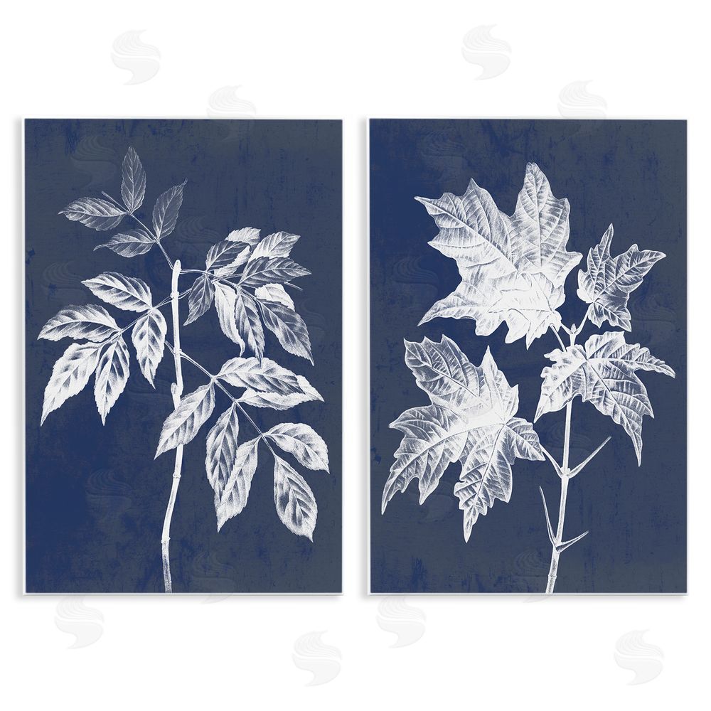 Stupell Studio Maple Leaf Elm Stem Vintage Illustration Wooden Wall Plaque Art Print