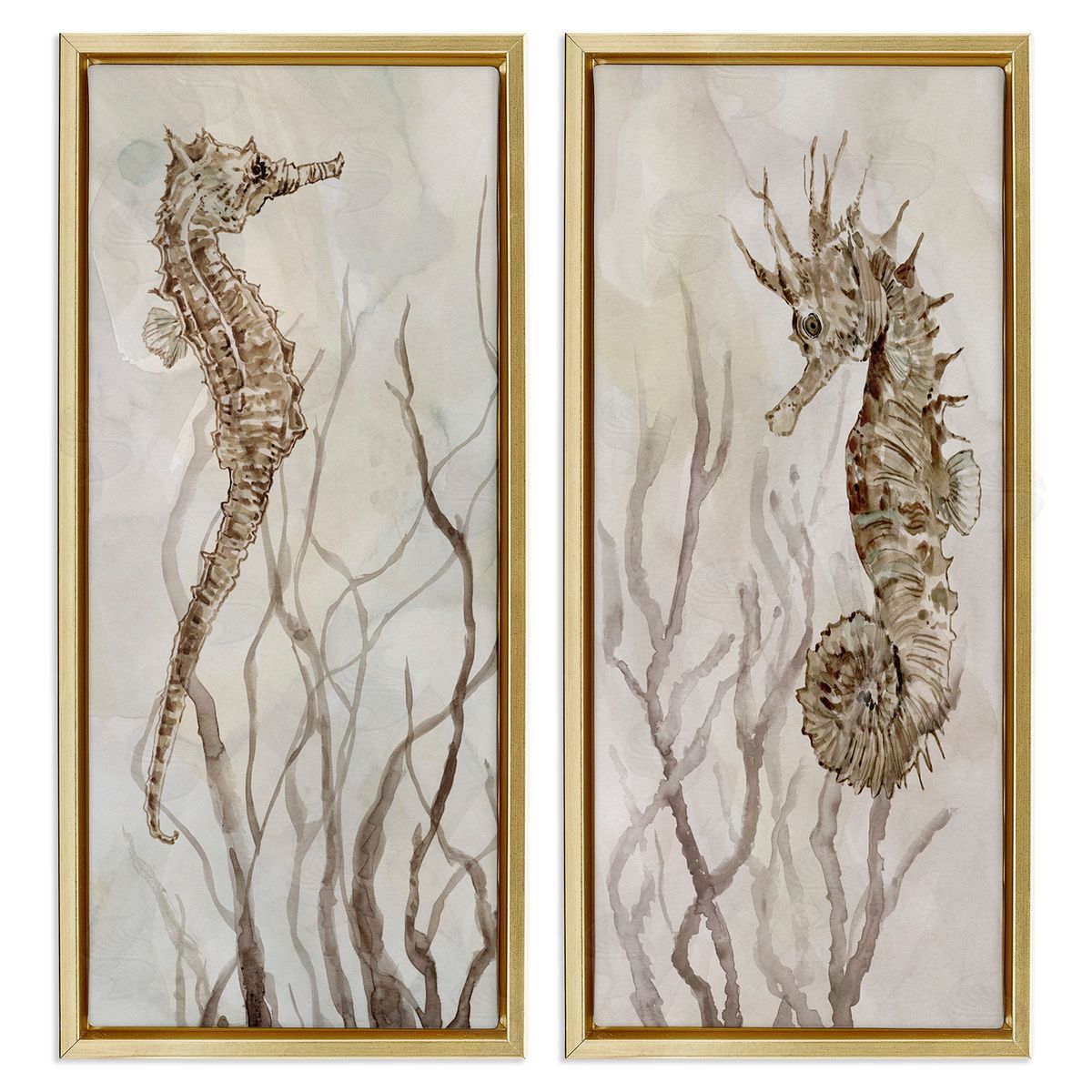 Enchanted Sea Horse & Ocean Algae Gold Floating Frame Canvas Wall Art, Home Decor by Carol Robinson
