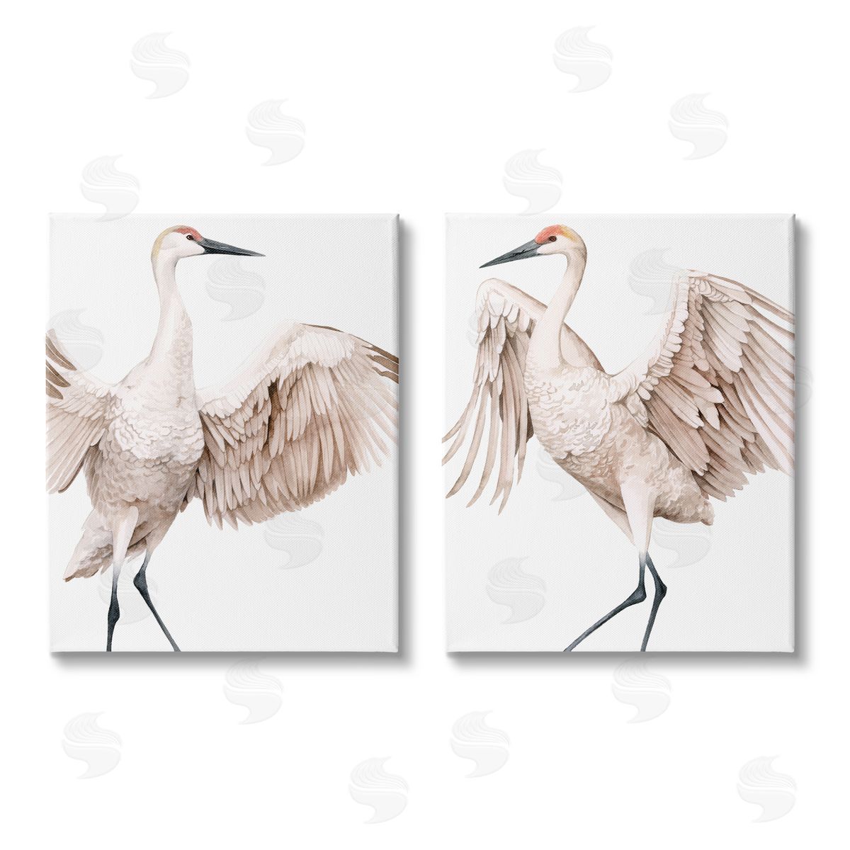 Grace Popp Simple White Crane Birds Standing Open Wings Canvas Wall Art Print