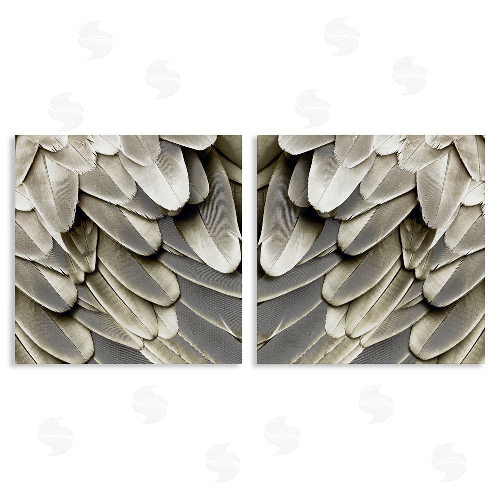 Julia Bosco Feathered Bird Wings Lovely Close Up Canvas Wall Art Print