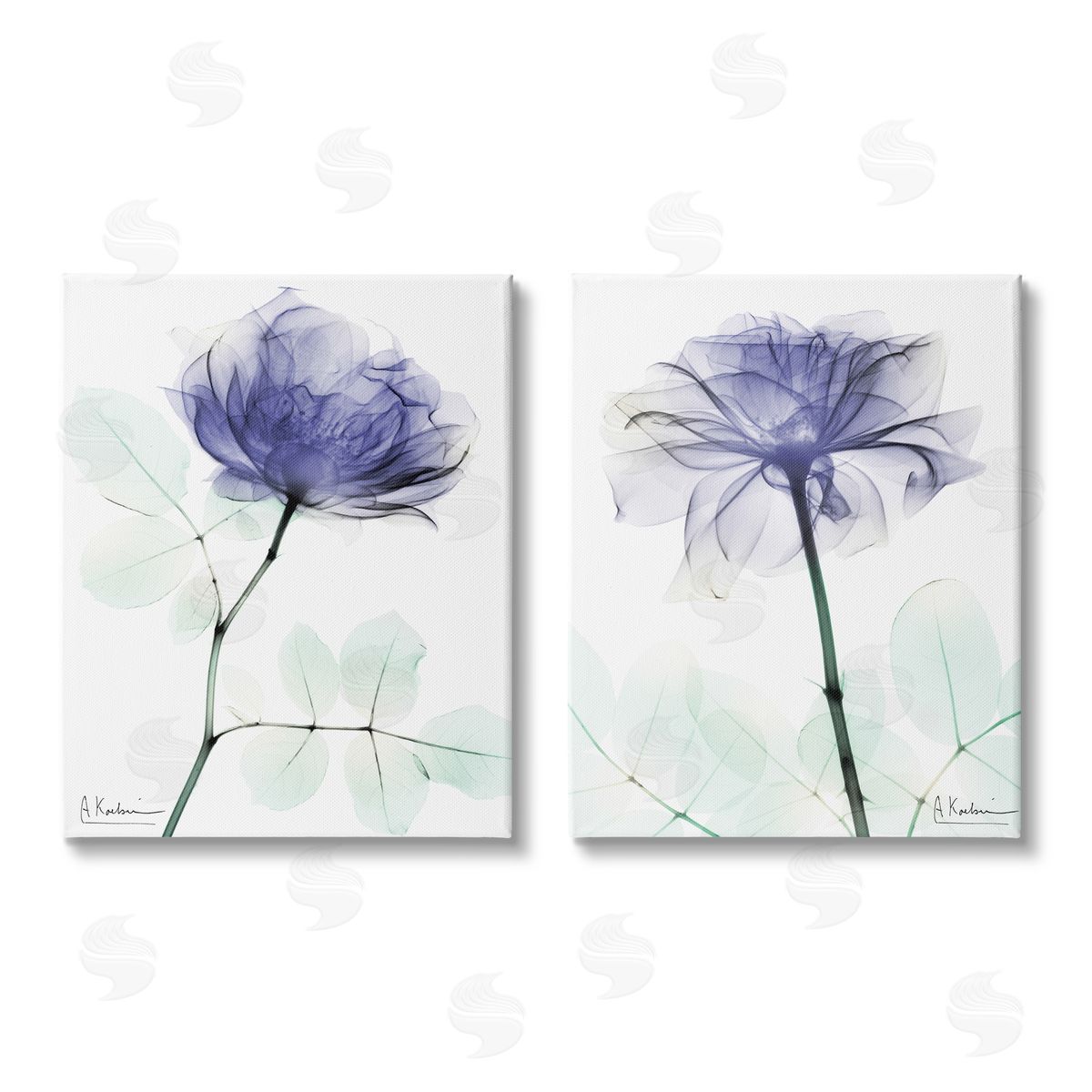 Albert Koetsier Modern Purple Rose Unique Photography Canvas Wall Art Print