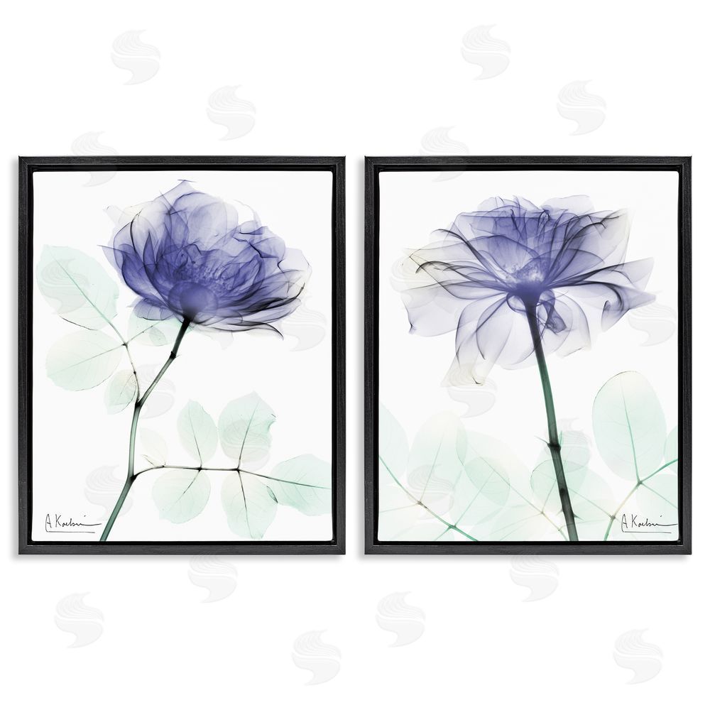 Albert Koetsier Modern Purple Rose Unique Photography Black Floating Frame Canvas Wall Art Print