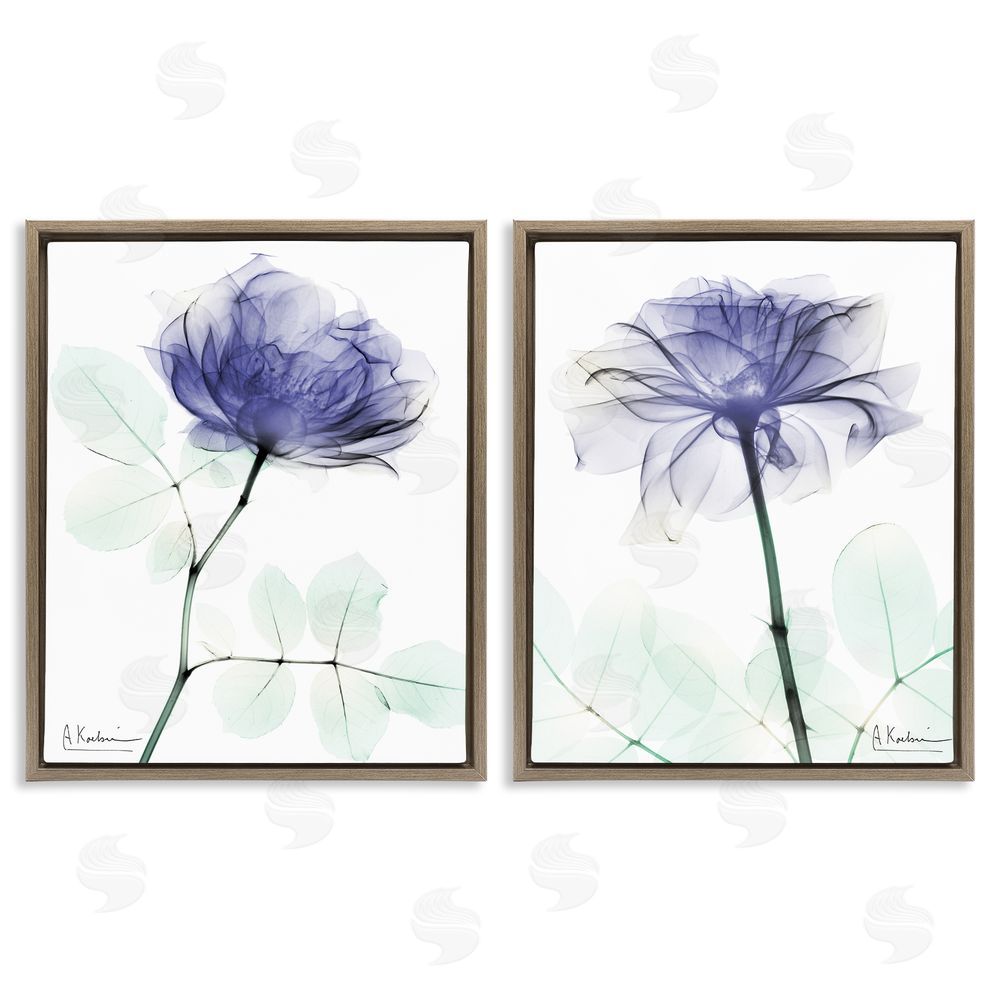 Albert Koetsier Modern Purple Rose Unique Photography Brown Floating Frame Canvas Wall Art Print