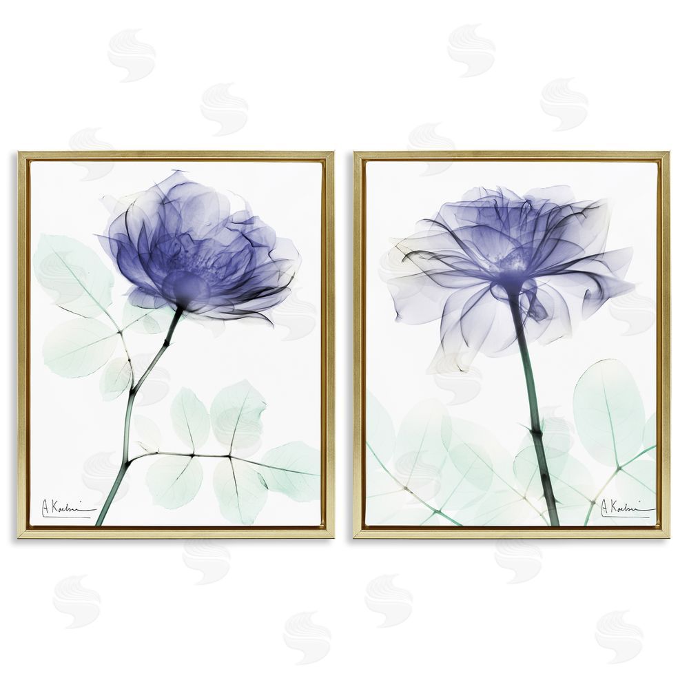Albert Koetsier Modern Purple Rose Unique Photography Gold Floating Frame Canvas Wall Art Print