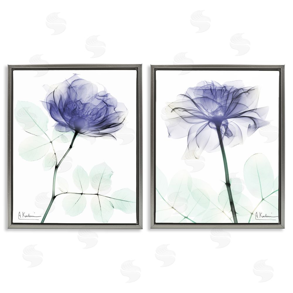 Albert Koetsier Modern Purple Rose Unique Photography Gray Floating Frame Canvas Wall Art Print