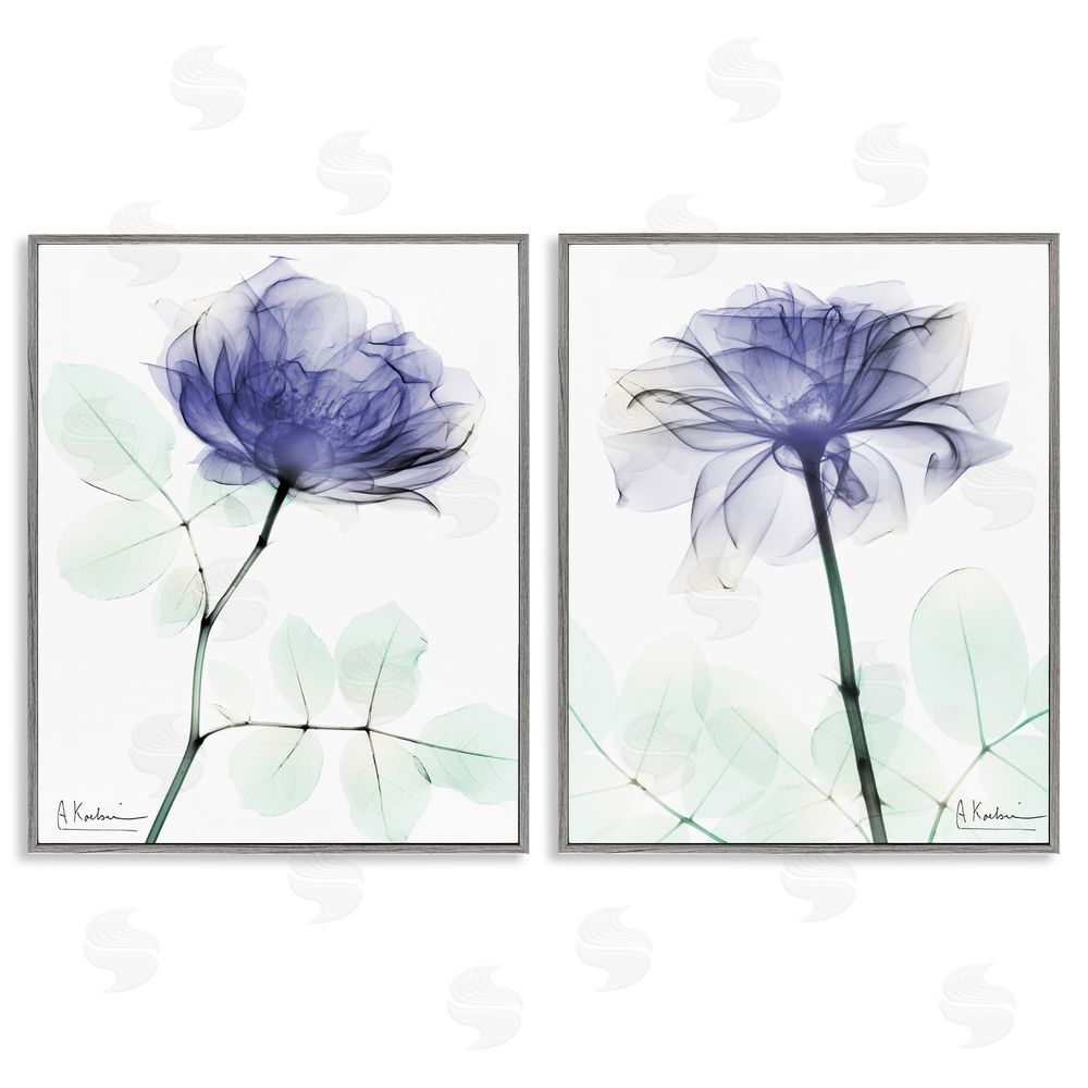 Albert Koetsier Modern Purple Rose Unique Photography Gray Framed Giclee Wall Art Print