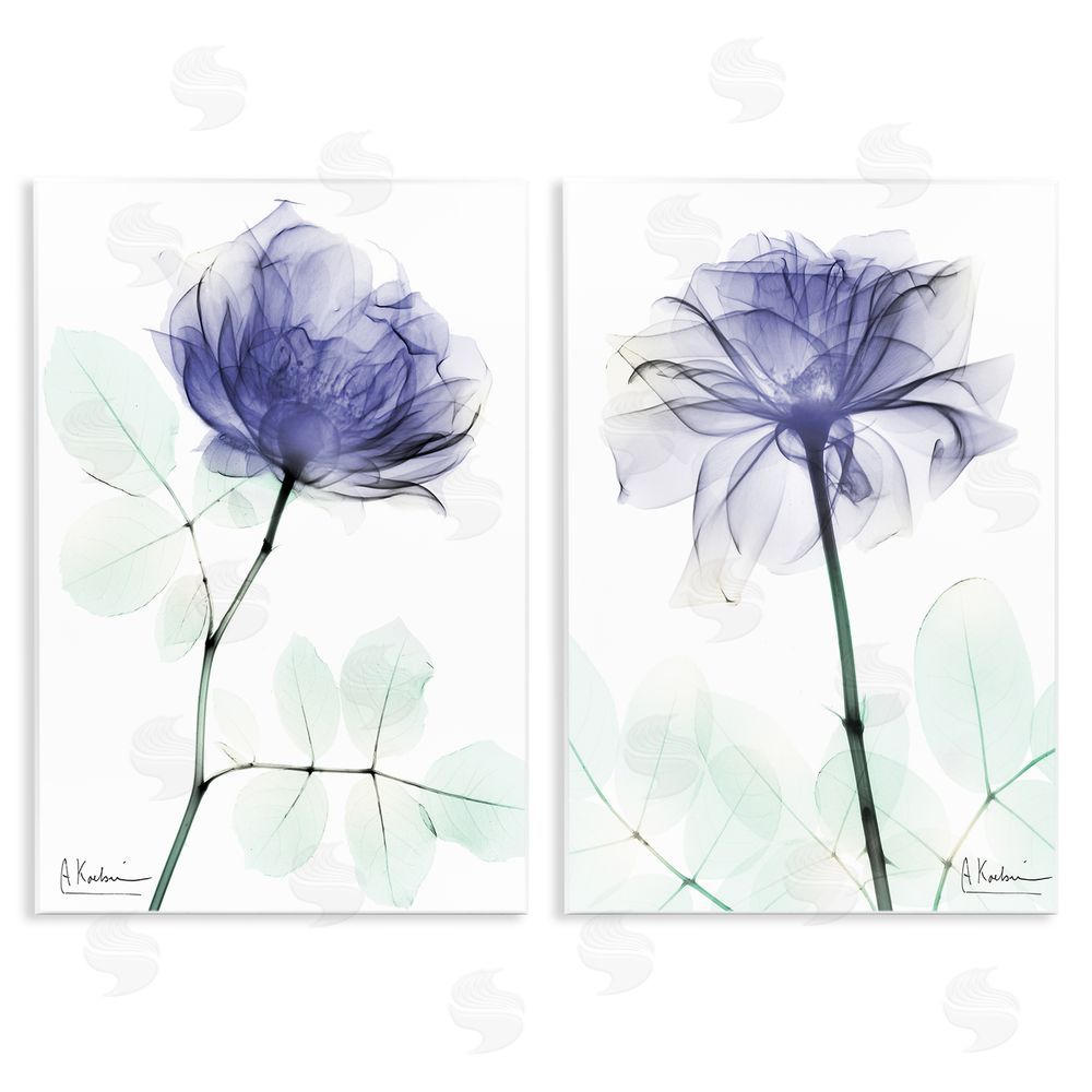 Albert Koetsier Modern Purple Rose Unique Photography Wooden Wall Plaque Art Print
