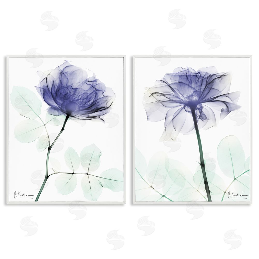 Albert Koetsier Modern Purple Rose Unique Photography White Framed Giclee Wall Art Print