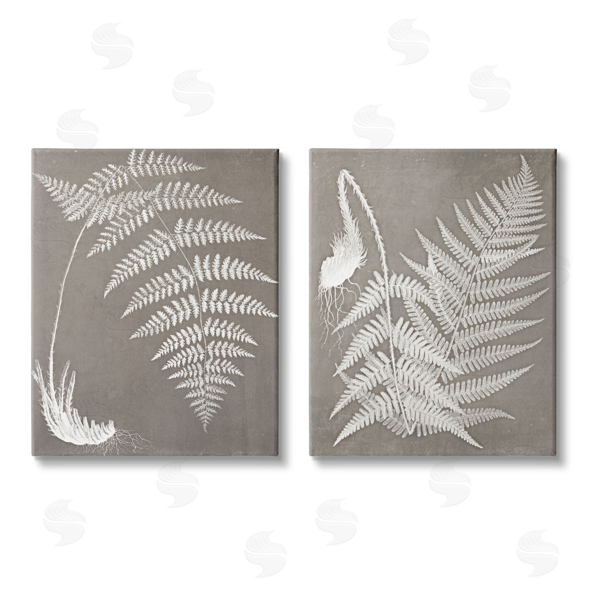 Graffitee Studios Fern Plant White Botanical Herb Roots Canvas Wall Art Print
