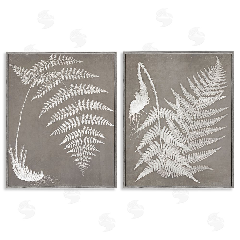 Graffitee Studios Fern Plant White Botanical Herb Roots Gray Framed Giclee Wall Art Print