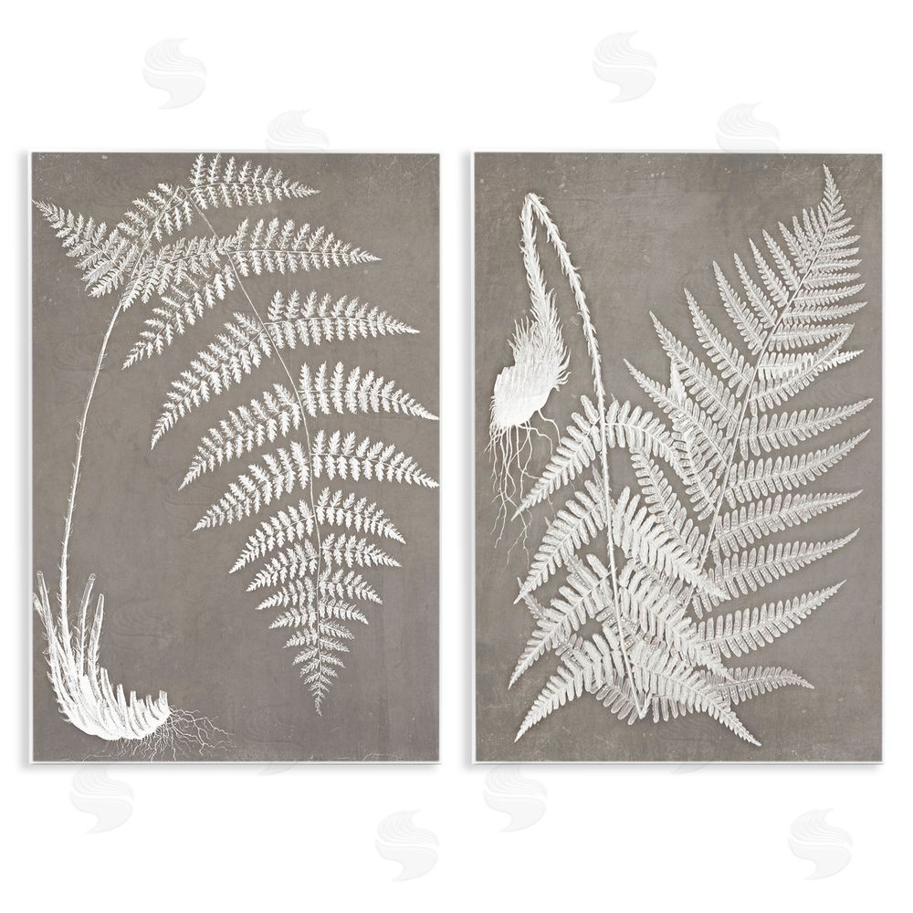 Graffitee Studios Fern Plant White Botanical Herb Roots Wooden Wall Plaque Art Print