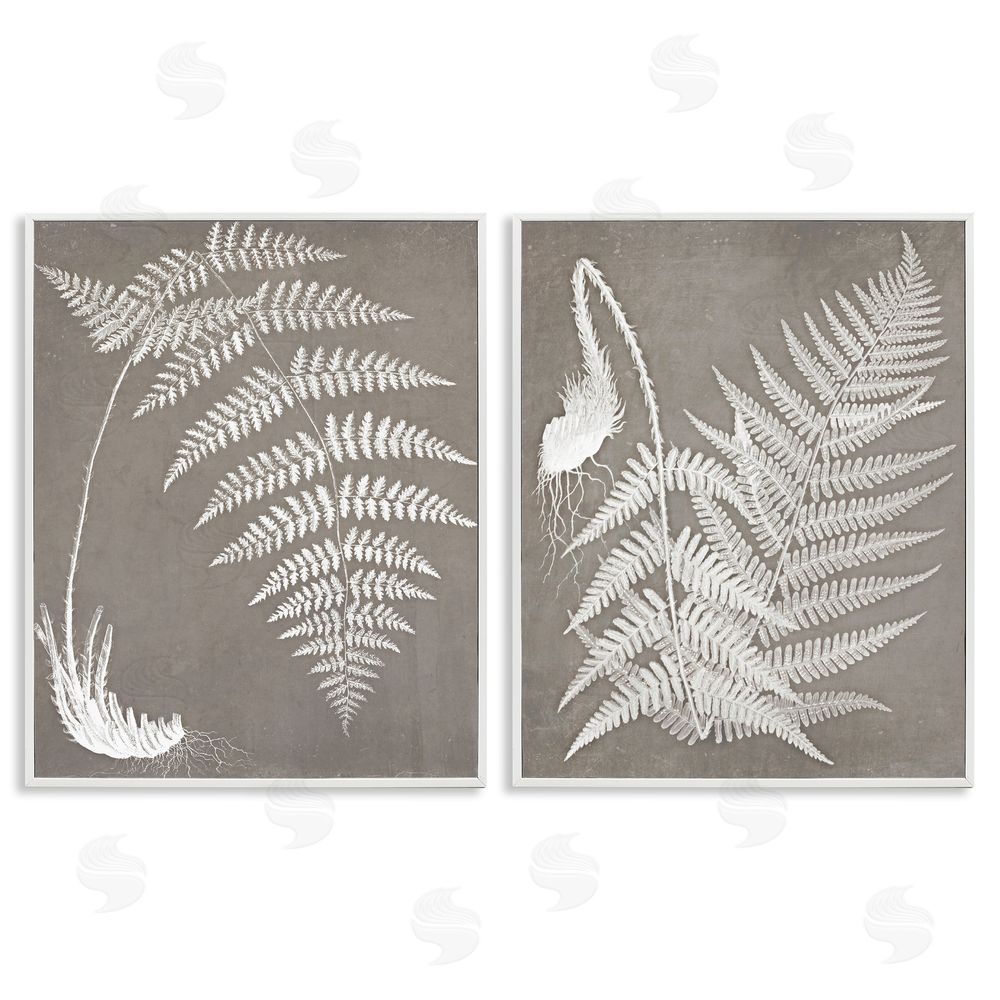 Graffitee Studios Fern Plant White Botanical Herb Roots White Framed Giclee Wall Art Print