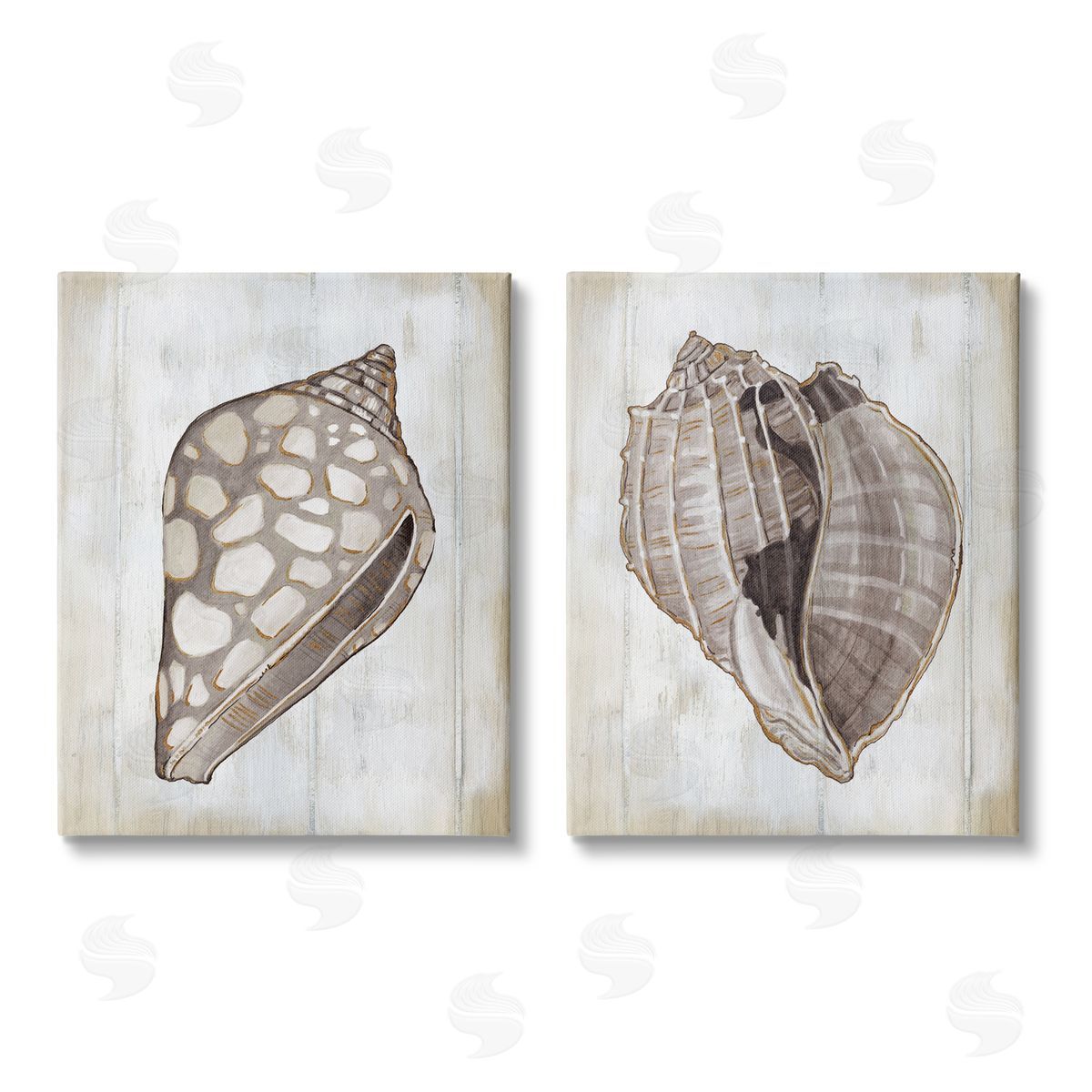 Carol Robinson Spotted Seashell Rustic Marine Life Canvas Wall Art Print