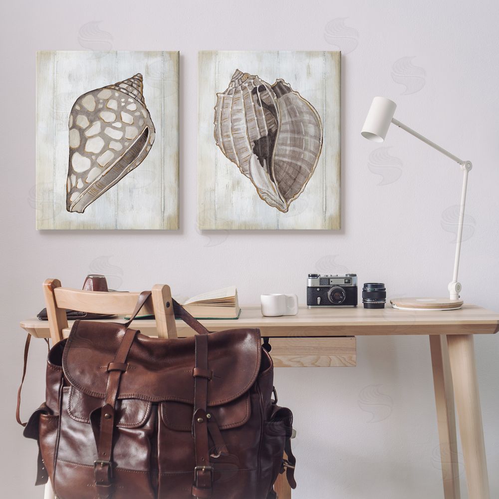 Carol Robinson Spotted Seashell Rustic Marine Life Canvas Wall Art Print in Room