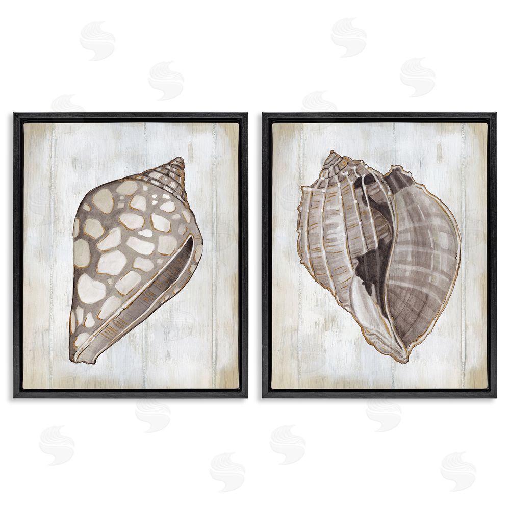 Carol Robinson Spotted Seashell Rustic Marine Life Black Floating Frame Canvas Wall Art Print
