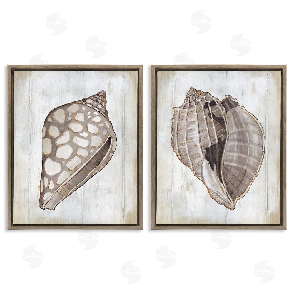 Carol Robinson Spotted Seashell Rustic Marine Life Brown Floating Frame Canvas Wall Art Print
